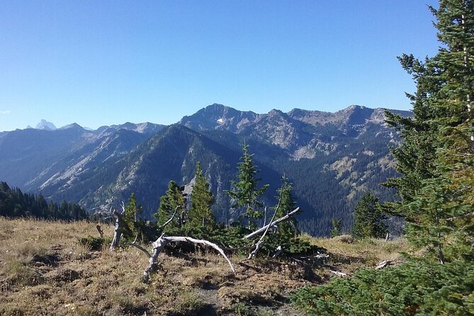 High Mountain Scenic Trail Rides in the Teton Range - Key Points