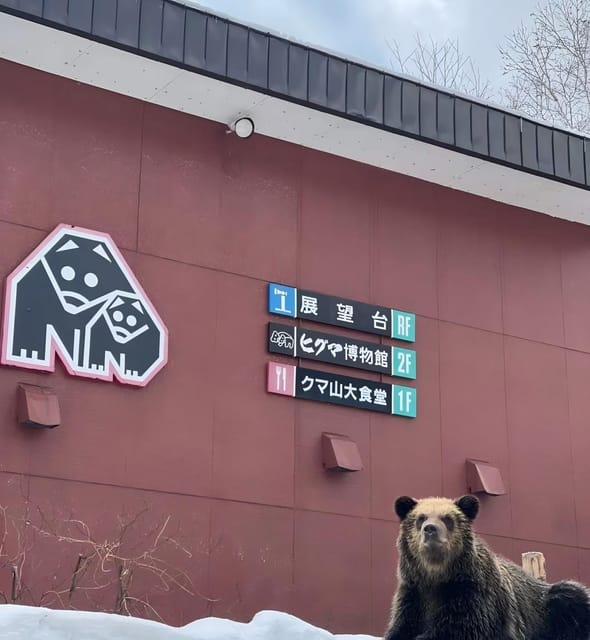 Hokkaido 10-Hour Chartered Day Trip｜ Noboribetsu - Key Points