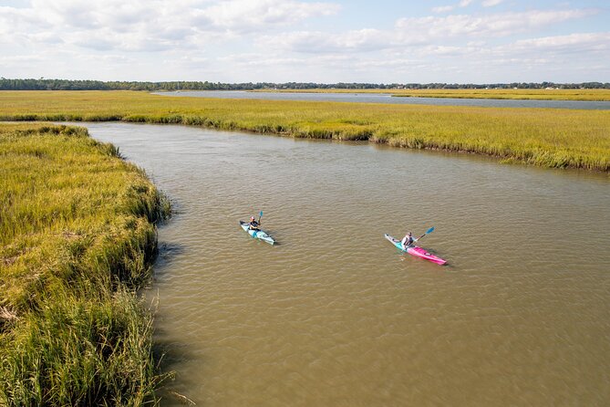 Kayak Activity and Sightseeing in Dolphin Safari Review - About Your Stay