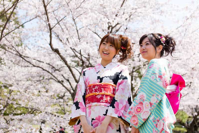 Kyoto: 1 Day Traditional Japanese Kimono Rental Experience