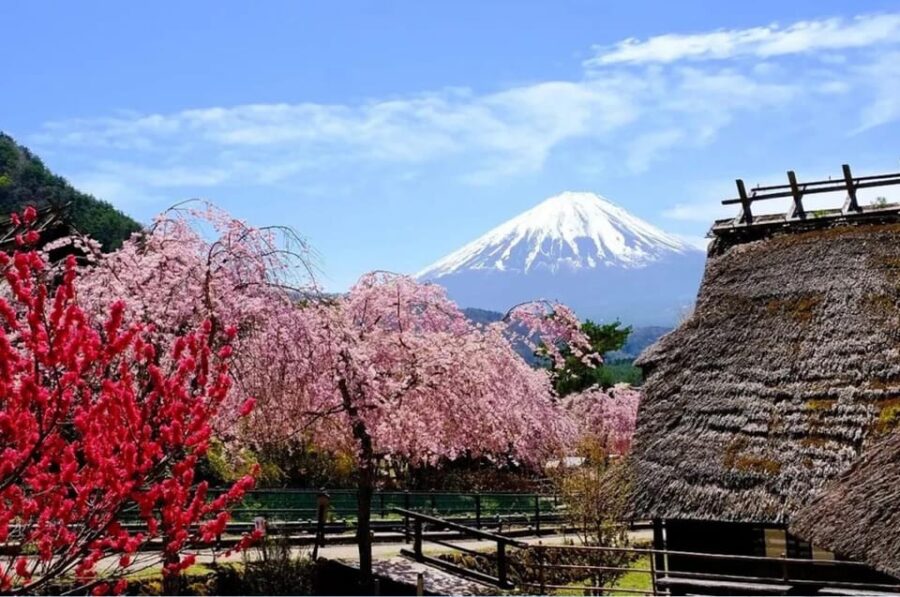 Mount Fuji Full Day Tour:Majestic Views and Cultural Wonders