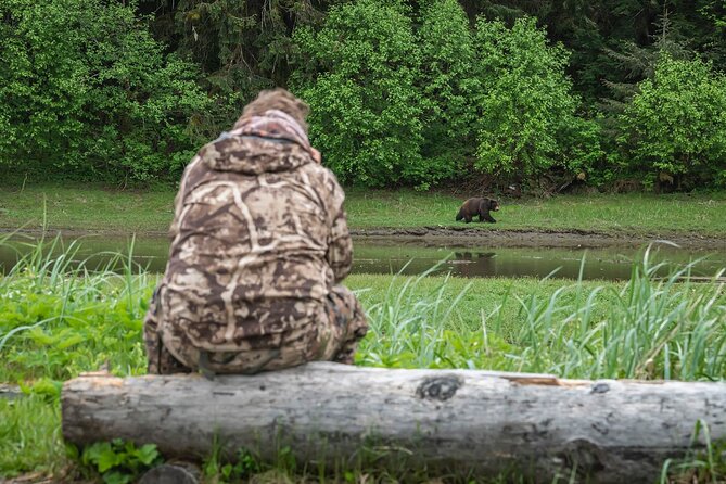 Pack Creek Bear Viewing: A Complete Review - About Your Stay