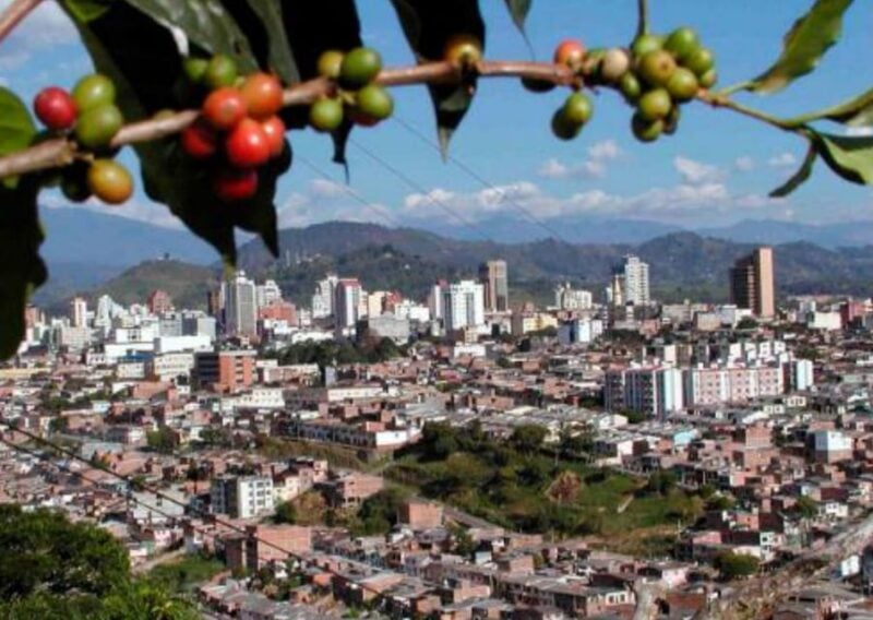 Pereira to Cali (Or Vice Versa) - Private Transport - Experience Highlights