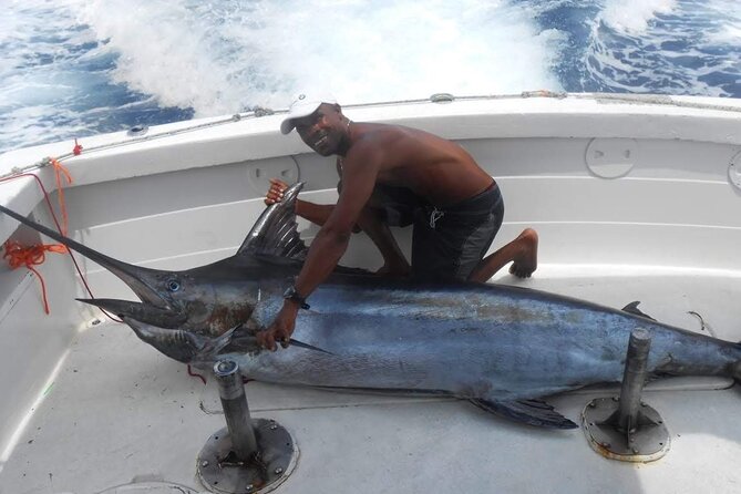 Private Fishing Charter in Punta Cana (Fiol) - About Your Stay
