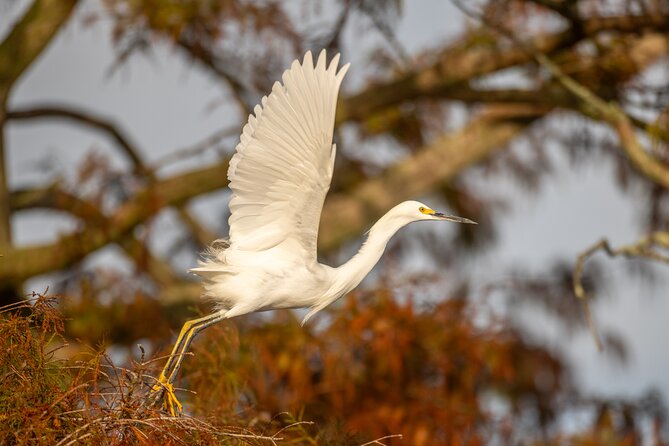 Private Nature and Wildlife Boat Tour Review - About Your Stay