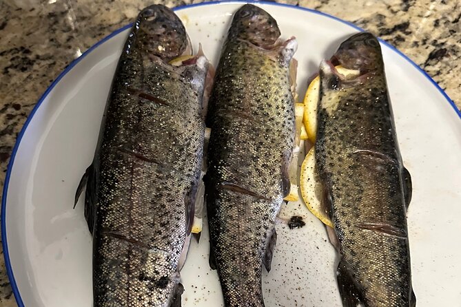 Private Trout Fishing Excursion in Virginia - Overview of the Excursion