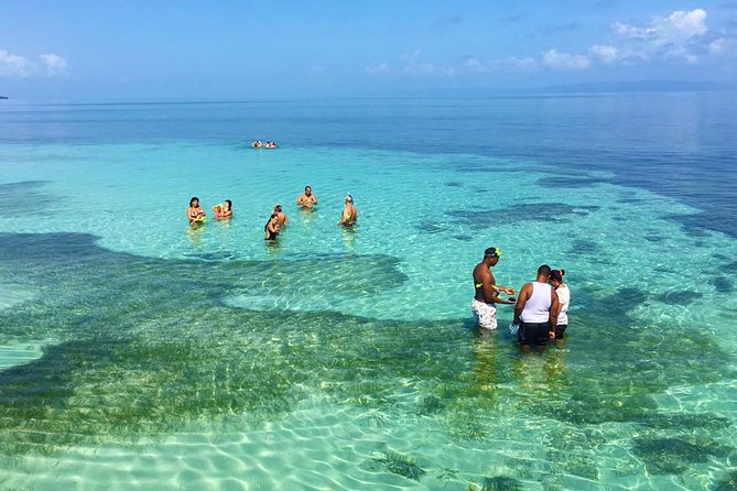 Samana Full Day Trip From Punta Cana
