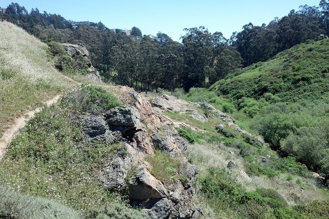 San Francisco's Glen Park and Canyon Tour Review - About Your Stay