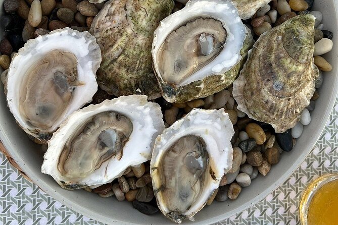 Sunset Guided Oyster Tasting Review - About Your Stay
