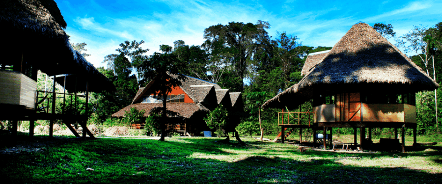 Tambopata Macaw Clay Lick 4 Days/3 Nights