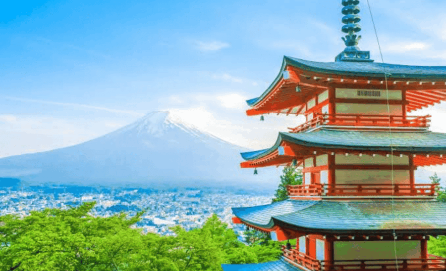 Tokyo: Mount Fuji Private Tour With English-Speaking Driver