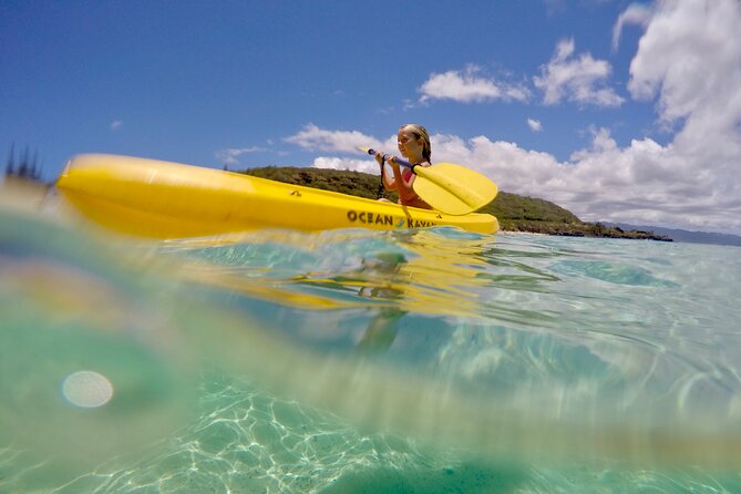 1/2 Circle Island & North Shore Fun With the Surf Bus