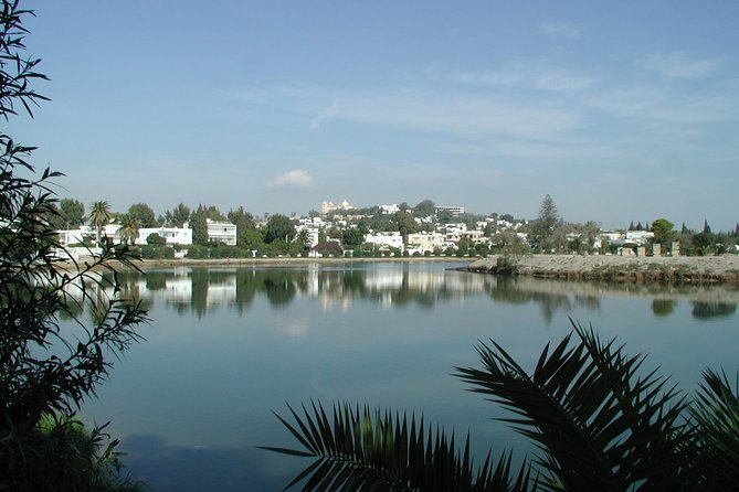 1/2 Day Carthage & Sidi Bou Said