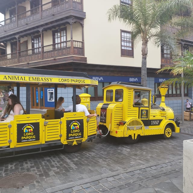 1-2 Hour Walking Route Through Puerto De La Cruz, Tenerife