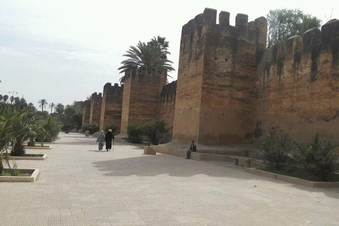 1 Day Guided Tour to Tiout Tarodant From Agadir