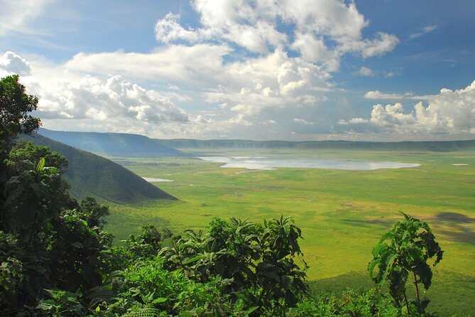 1 Day Ngorongoro Crater Group Jioning Safari - Overview of the Safari
