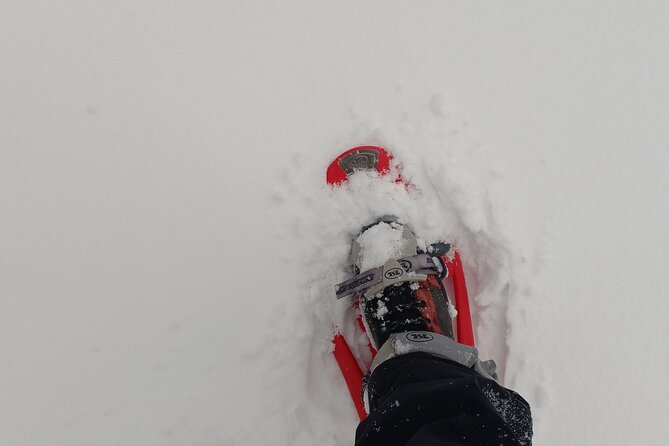 1-Day Private Snowshoe Hike in the Gorce Mountains Near Krakow