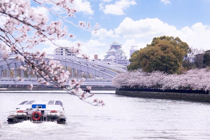 1 Day Takoyaki Making and Osaka Castle Walking Tour