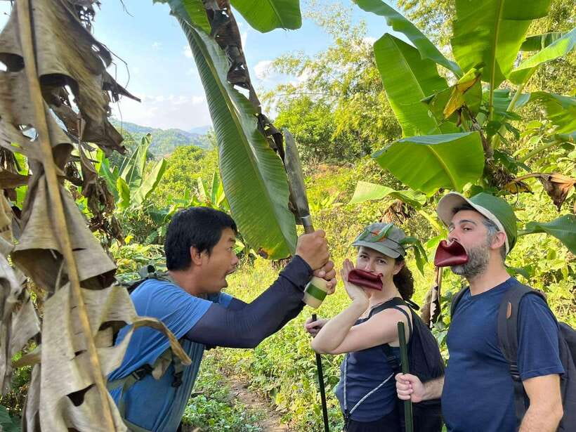 1 Day Trekking in Chiang Rai Forest (Walk Only)