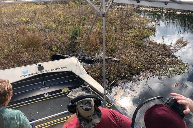 1 Hour Everglades Airboat Tour Central Florida - What to Expect