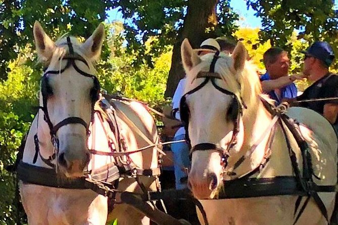 1h – Carriage Trail