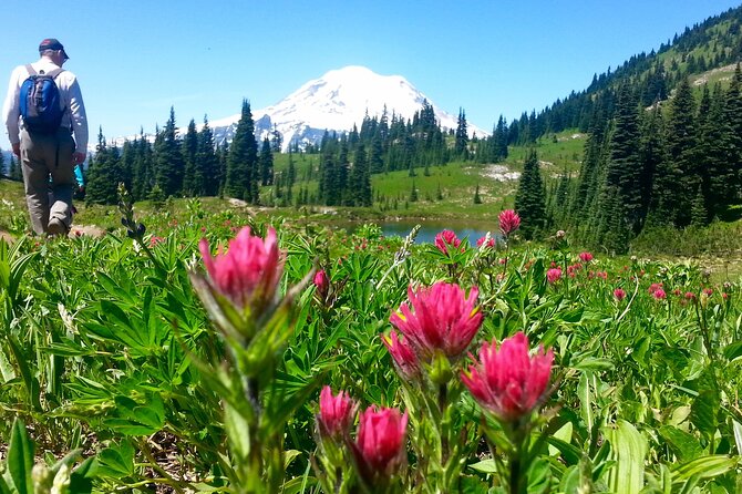 2 Day Mt Rainier All-Inclusive Tour Review