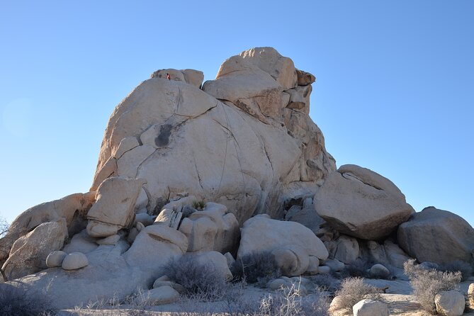 2-Days Private Tour to Joshua Tree National Park From Los Angeles
