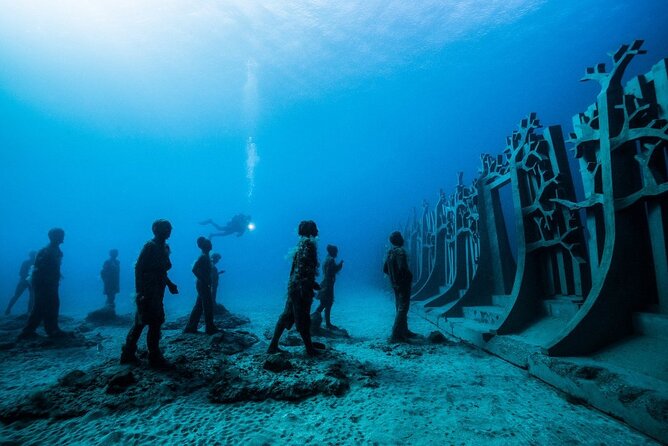 2-Hour Freediving Activity at the Atlantic Museum