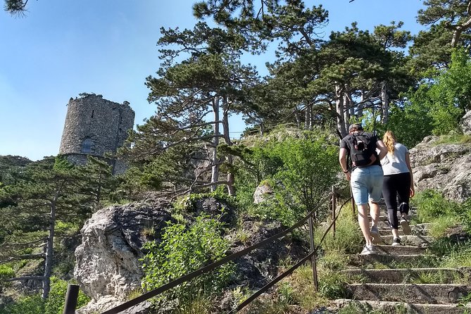 2-Hour Private Hiking Tour on Kalenderberg Mountain to Meet History From Vienna - Tour Overview