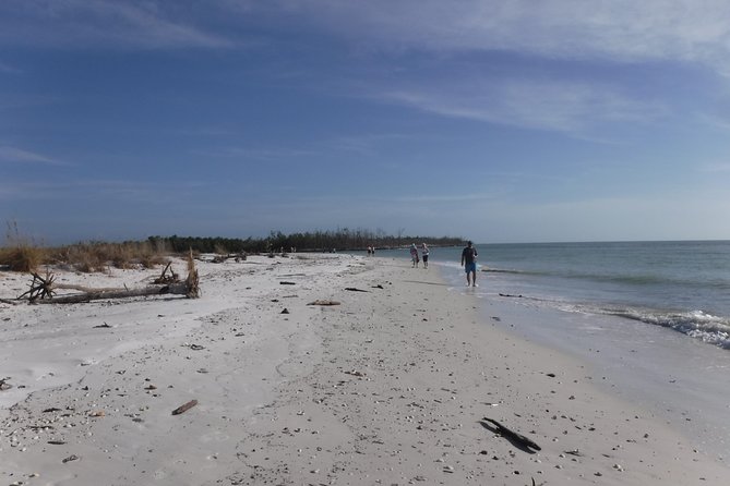 2-hour Shelling Boat Tour in the 10,000 Islands