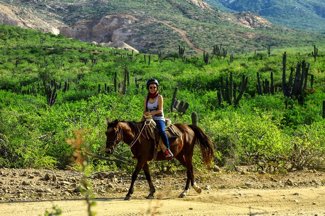 2 Hours Horseback Riding Adventure in Cabo