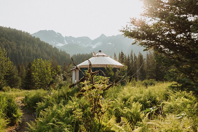 24Hour Bear Glacier Yurt Stay