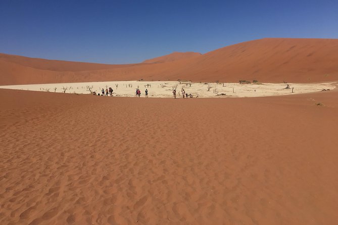 3 Day Camping Safari at Sossusvlei