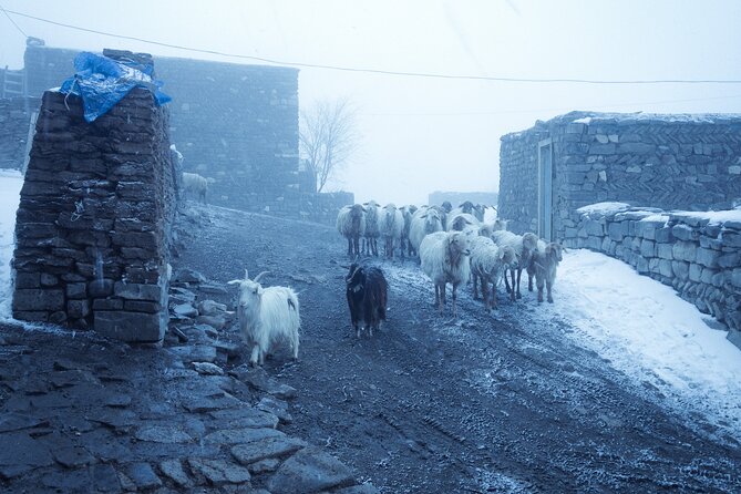 3-Day Hiking & Trekking Tour Remote Villages in Guba - Tour Overview