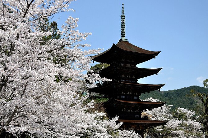 3 Day Trip to Osaka From Fukuoka via SANYO With Minibus7m