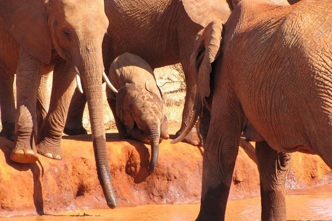 3 Days Tsavo East & Amboseli (2 Nights) - Tour Overview