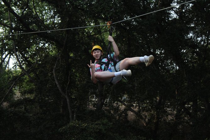 3 Zipline Adventure With Waikiki Transportation