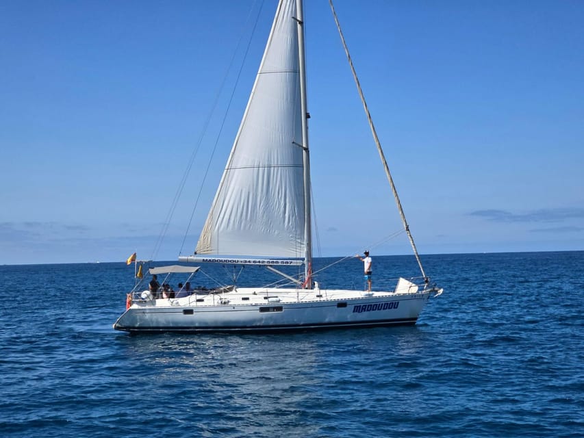 3h Whale Watching Share Tour Beneteau Oceanis 440