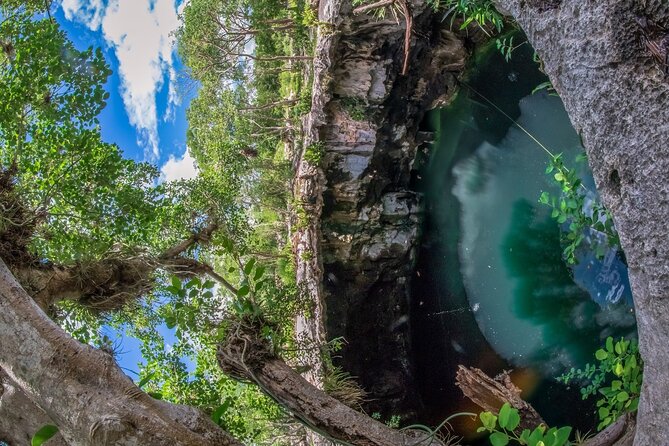 4 Cenotes Full Day Tour From Merida