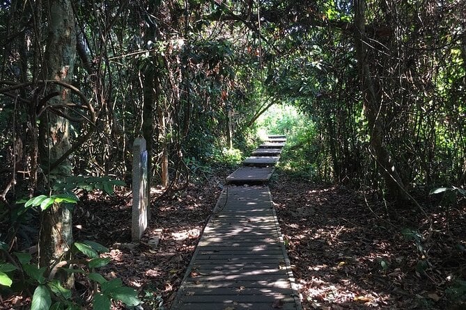 4-Day Jungle Experience in Taman Negara From Kuala Lumpur - Overview of the Experience
