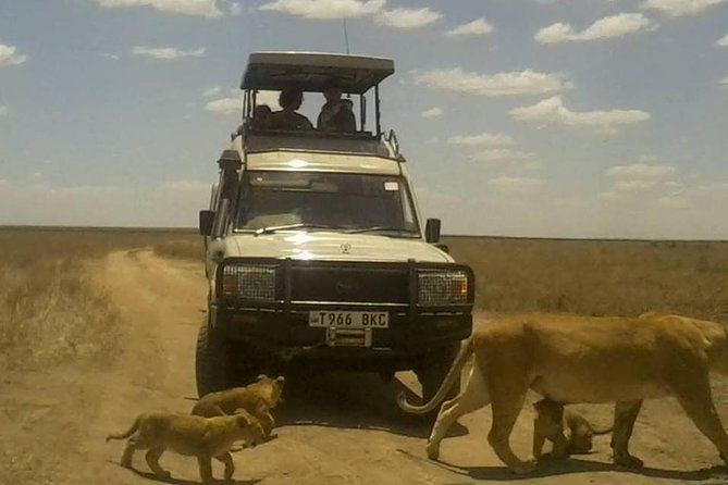 4 Days Camping Safaris