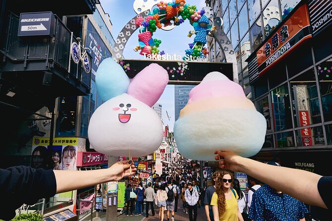 4 Days Private Tokyo and Fuji With Nikko Tour