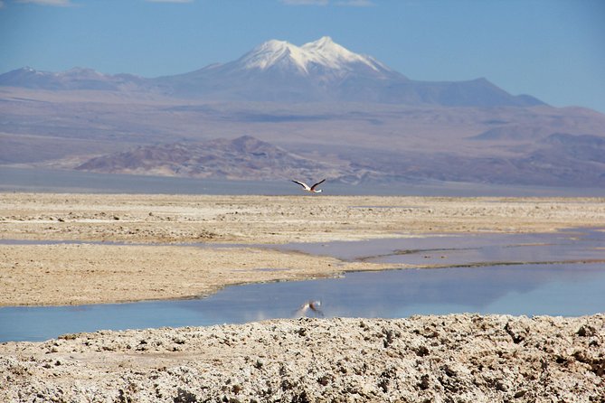 4-Days Trip to Discover San Pedro De Atacama