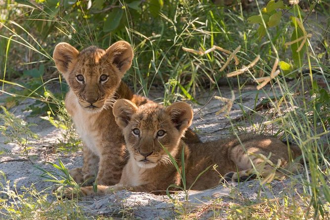 4 Days Victoria Falls Zimbabwe With Chobe National Park Safari Botswana and Livingstone Zambia