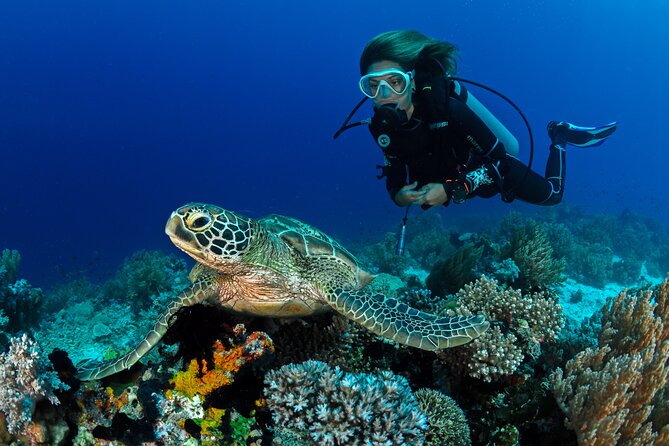 4 Hour Guided Scuba Diving Adventures Review