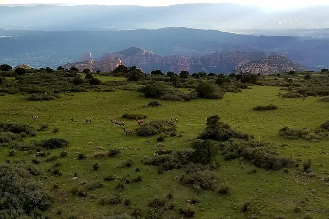 45 Mile EPIC Heli Tour Through Canyons Viewing Ancient Ruins+More - A Scenic Helicopter Tour Over Sedona