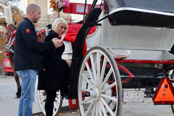 45 Minute VIP Central Park Carriage Ride - Tour Overview