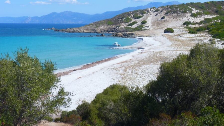 4x4 Agriates Desert and Beach Excursion From Calvi - Activity Overview