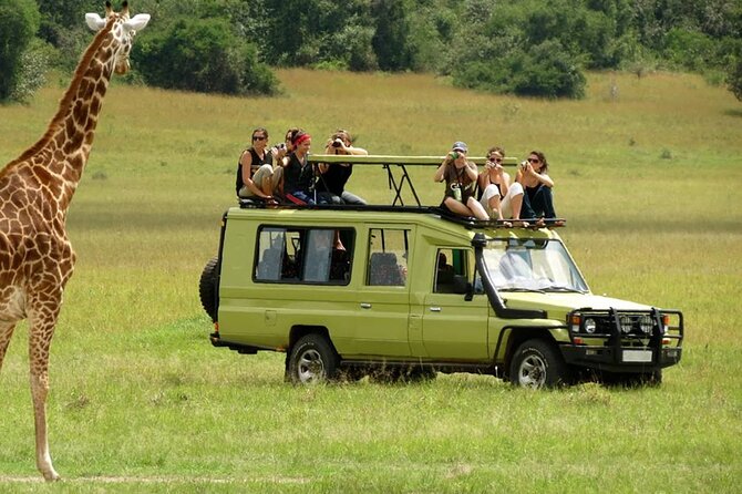 5 Day Private Guided Wildebeest Migration Tour