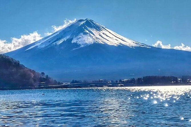 5 Days Tour Mt Fuji Tokyo Kyoto Osaka Nara by Car English Driver